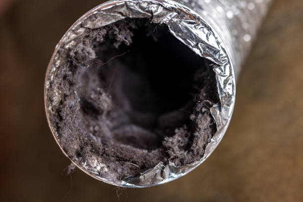Best Local Air Duct Cleaning Services  in Shelby, MS